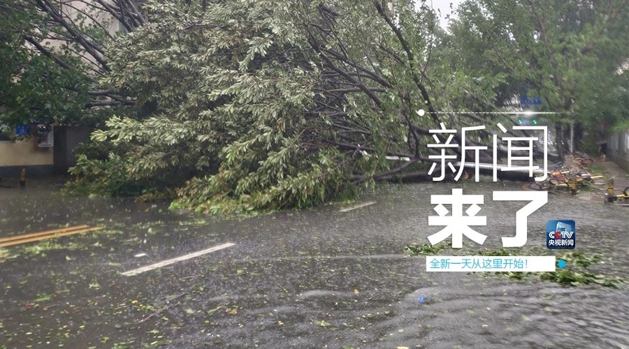 “山竹”怒過，高空塔吊你還好嗎？